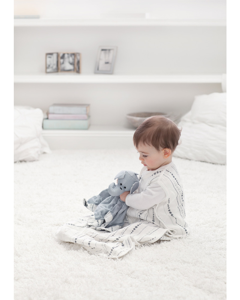 aiden and anais lovey